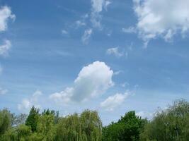 Natural background. Beautiful round frame formed by tree crowns. Cloudy blue sky. Sunny summer day photo