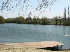 panorámico ver de un idílico verano paisaje con un claro lago y verde pastos foto