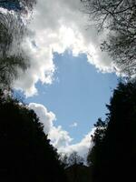 Natural background. Beautiful round frame formed by tree crowns. Cloudy blue sky. Sunny summer day photo