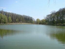 Panoramic view of an idyllic summer landscape with a clear lake and green pastures photo