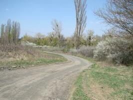 Small Dirt Road through Green Fields, Spring Landscape photo
