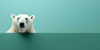 Creative animal concept. a polar bear peeking over a blue background, digital art, faceted, copy space. Generative AI photo