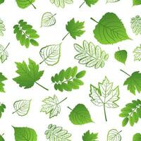 Seamless pattern of fresh different juicy green leaves on a white background vector