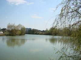 Panoramic view of an idyllic summer landscape with a clear lake and green pastures photo