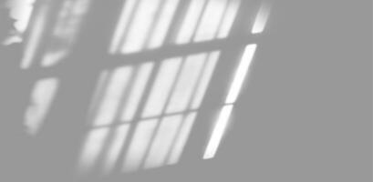 blur background. Abstract shadow of the window in morning light on white wall texture photo