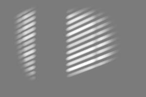 blur background. Abstract shadow of the window in morning light on white wall texture photo