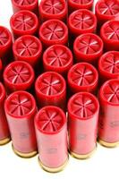 red hunting cartridges photo