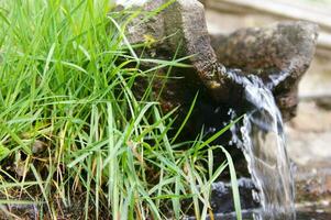 a small waterfall flowing out of a rock photo