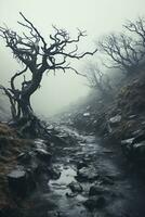 etéreo niebla mantas un injustamente solitario aún extrañamente sereno purgatorio paisaje foto