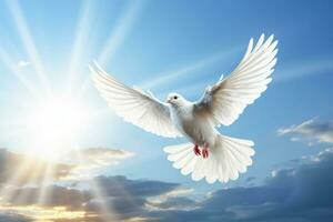 White dove soaring in serene blue skies background with empty space for text photo