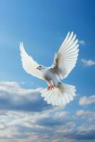 White dove soaring in serene blue skies background with empty space for text photo
