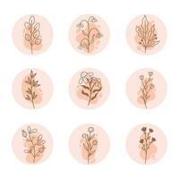 Hand-drawn botanical leaf flower outline, rose soft elements illustration, vector pack collection