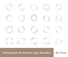Collection border leaves decoration vector