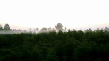 Vorbeigehen durch Landschaft im ein Nebel video