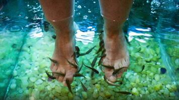 piedi terme trattamento con pesce video