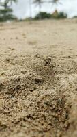 fotografía, textura de arena, playa. huellas en el arena, un playa complejo, un isla. usted lata utilizar foto