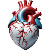 Realistic human heart. AI Generative png