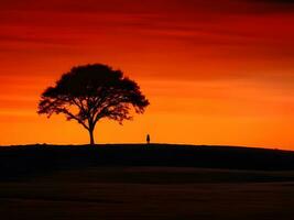 a lone tree stands in the middle of a field at sunset photo