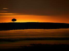 a lone tree stands in the middle of a field at sunset photo