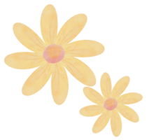 The flower drawing png image