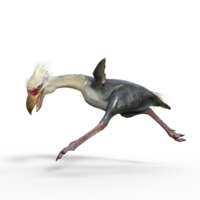 phorusrhacos dinosaure isolé png