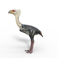 Phorusrhakos Dinosaurier isoliert png