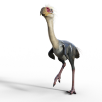 Phorusrhakos Dinosaurier isoliert png