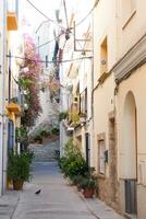 estrecho calles en el antiguo trimestre de el Mediterráneo pueblo de blanes en el provincia de Barcelona, Cataluña, España. foto