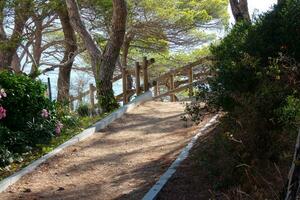 Costa brava and coastal path along the rugged coastline of northern catalonia, Spain photo