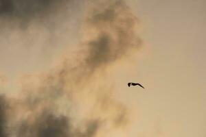 nubes dispersas en el cielo que indican un cambio en el clima. foto