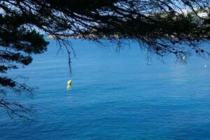 Camino de Ronda on the Catalan Costa Brava, S'agaro, Spain photo