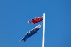 colorful flags under the blue sky fluttering in the wind photo