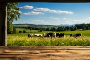 Grassy field with cows in background on empty wooden table photo