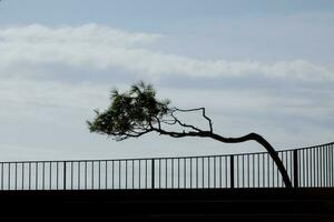 Camino de Ronda on the Catalan Costa Brava, S'agaro, Spain photo