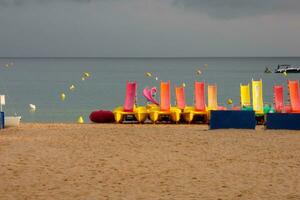 Kayaks and colorful sea skates on the beach photo