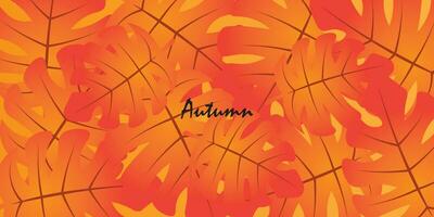 Abstract background design with autumn theme. vector