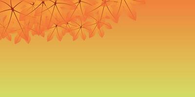 Abstract background design with autumn theme. vector