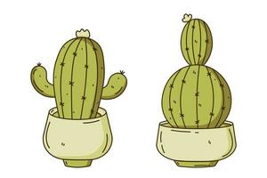 Cactuses with thorns. Hand drawn exotic cacti. Cute home plants. vector