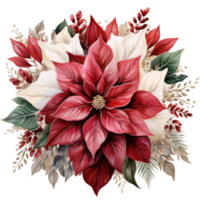 acquerello poinsettia Natale ghirlanda fiore isolato png