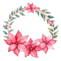 watercolor poinsettia flower isolated png