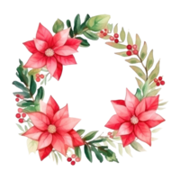 watercolor poinsettia flower isolated png