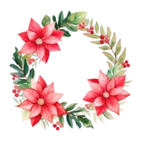 Aquarell Weihnachtsstern Blume isoliert png