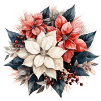 Aquarell Weihnachtsstern Weihnachten Kranz Blume isoliert png