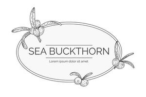 Black and white label or logo with the name Sea Buckthorn. Twig with leaves and berries in sketch style. Vector isolated template.