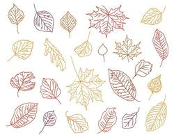 Vector set of hand drawn fall leaves, black outline of maple, birch, oak, aspen leaves in graphics