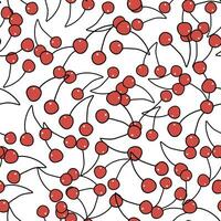 Vector hand drawn seamless pattern cherry on white background