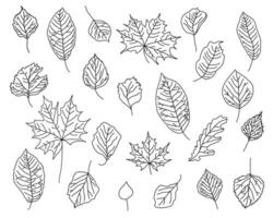 Vector set of hand drawn fall leaves, black outline of maple, birch, oak, aspen leaves in graphics