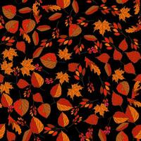 Vector hand drawn seamless pattern of fall leaves of birch, oak, maple, ash trees