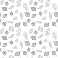 Vector hand drawn seamless pattern of fall leaves of birch, oak, maple, ash trees