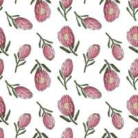 Hand drawn vector seamless pattern of king protea.